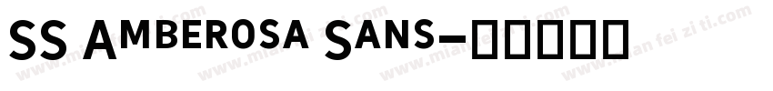 SS Amberosa Sans字体转换